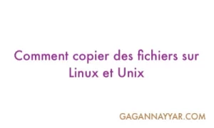 Lire la suite à propos de l’article Comment copier des fichiers sous Linux et Unix? 10 exemples de commandes cp